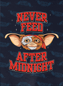 Sleeves - Dragon Shield Matte Art Sleeve - Gremlins Gizmo