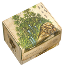 Deck Box - Sidewinder™ XenoSkin™ (100+ - Avatar: The Last Airbender // The Lion Turtle)