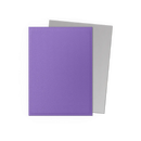 Sleeves - Dragon Shield Dual Matte Sleeve - Nebula & Silver