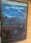 Forest 11