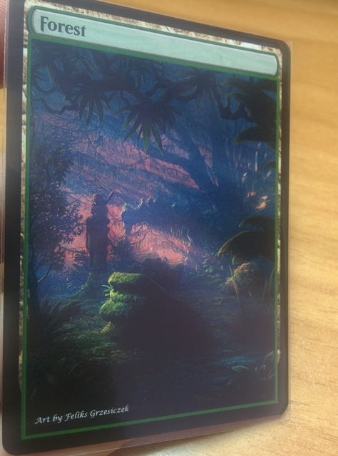 Forest 12