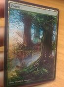 Forest 13