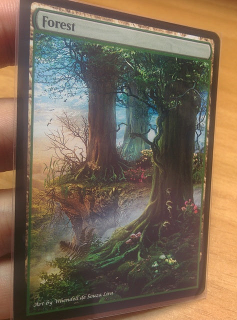 Forest 13