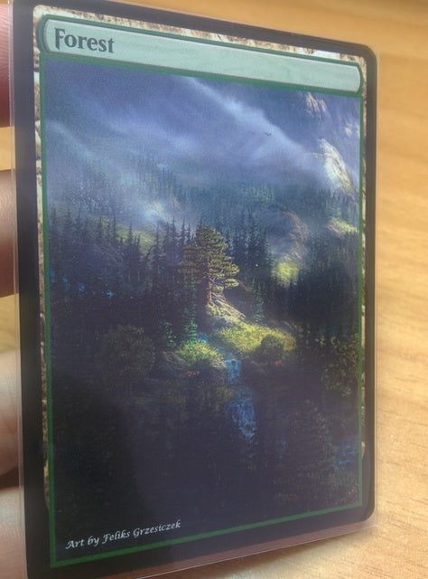Forest 14