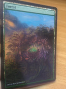 Forest 16