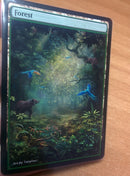 Forest 17