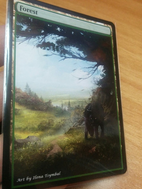 Forest 18