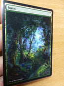 Forest 19