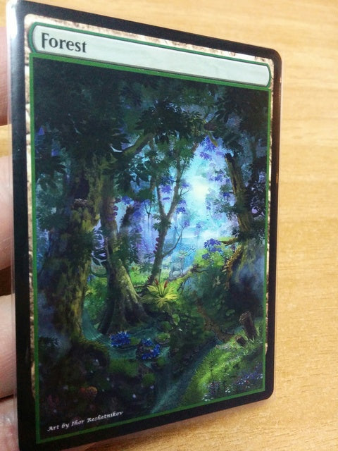 Forest 19