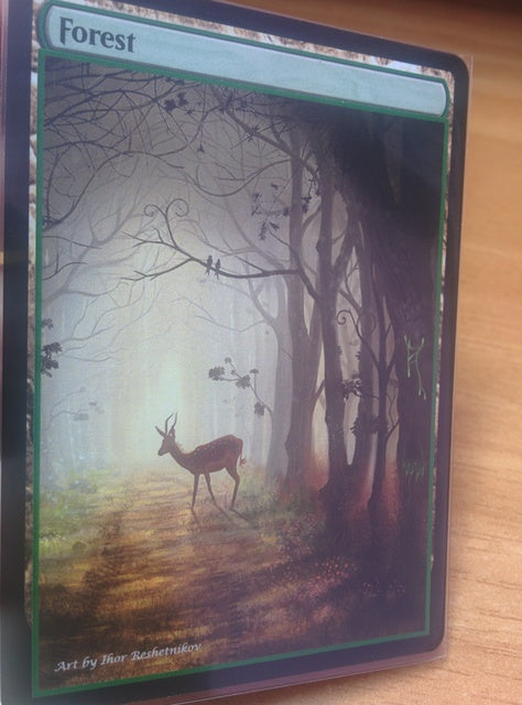 Forest 01