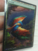 Forest 22