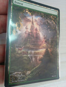 Forest 23
