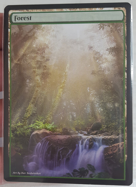 Forest 24