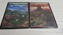 Forest-Mountain Panorama 11