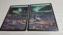 Forest Panorama 2