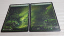 Forest Panorama 3