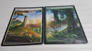 Plains-Forest Panorama 13