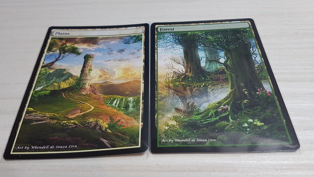 Plains-Forest Panorama 13