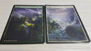 Plains-Forest Panorama 14