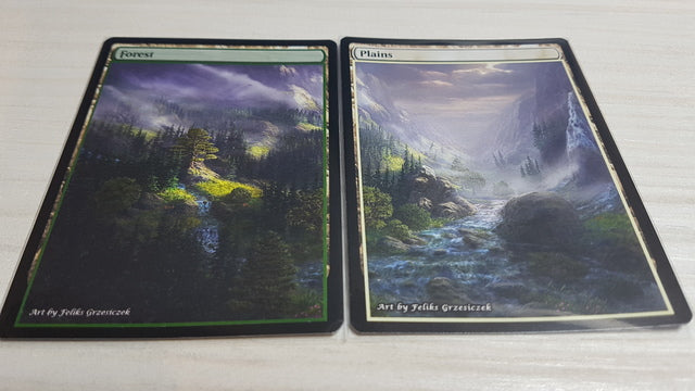 Plains-Forest Panorama 14