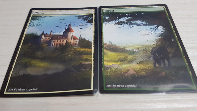 Plains-Forest Panorama 18
