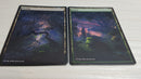 Swamp-Forest Panorama 12