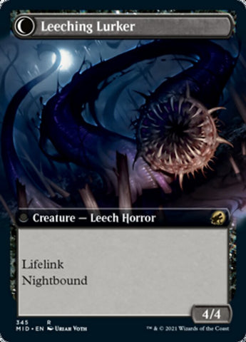 Curse of Leeches // Leeching Lurker (Extended Art) [Innistrad: Midnigh – La  Crypte